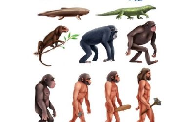 Theories1c THEORIES, ELEMENTS & DEFINITIONS AS FOUNDATION OF UNIVERSAL SEX ETHICS for Beginners and The Clueless